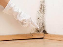 Mold Remediation for Vacation Homes in Lakeland, NY